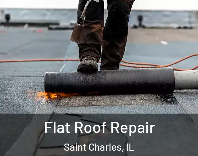  Flat Roof Repair Saint Charles, IL