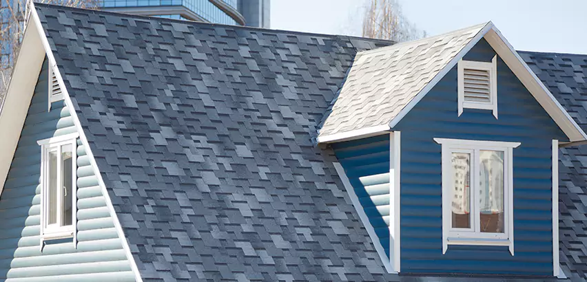 Shingle Roof Maintenance in Saint Charles