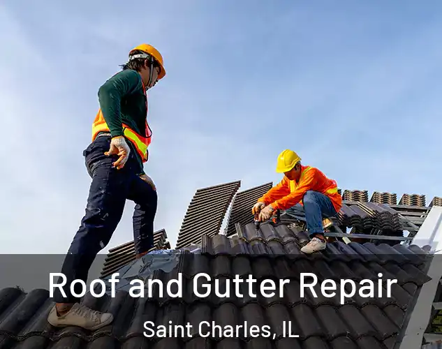  Roof and Gutter Repair Saint Charles, IL