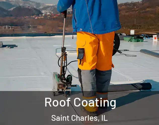  Roof Coating Saint Charles, IL