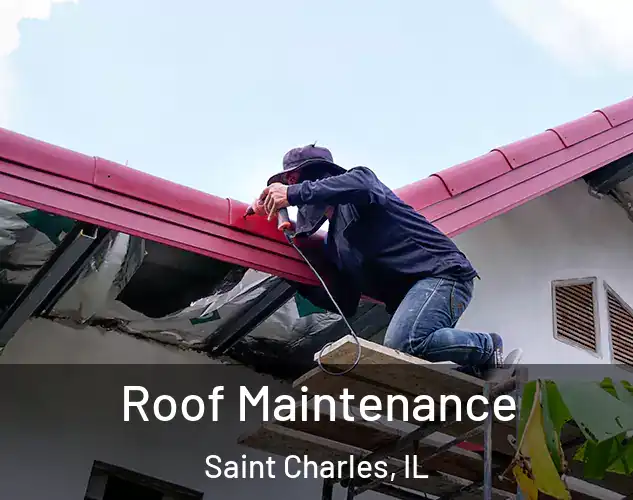  Roof Maintenance Saint Charles, IL